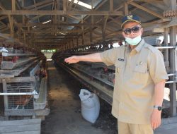 Nasrul Abit lebih dari 30 M Perputaran Uang di Kabupaten Limapuluhkota