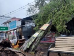 Hujan Badai Bercampur Petir Hantam Tanah Datar, Puluhan Pohon Tumbang dan Rumah Rusak