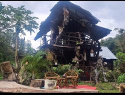 Wisata Rumah Akar Butuh Sentuhan Pemerintah