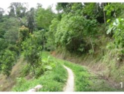 Jalan Usaha Tani, Pemukiman dan Wisata di Tanjung Barulak Butuh Perhatian Serius dari Pemerintah