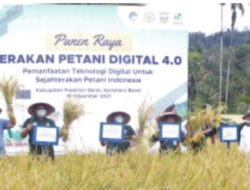 KEMENTERIAN KOMINFO FASILITASI PANEN RAYA GERAKAN PETANI DIGITAL 4.0 DI TIMBO ABU, KAJAI, PASBAR