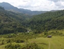 Melihat Padang Savana Talago Gunuang, “Eropanya” Tanah Datar