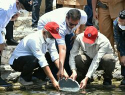 4.000 Bibit Ikan Bilih Dilepas di Danau Singkarak