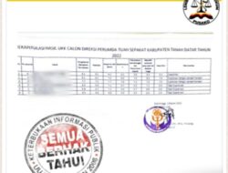 Quo Vadis Seleksi Direktur Perumda Tuah Sepakat: Antara Profesional dan “Selera” Pimpinan