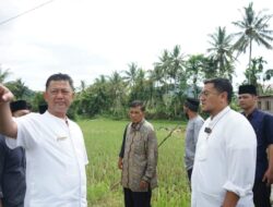 Wabup Tanah Datar Berkantor Sehari di Nagari