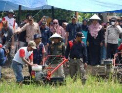 Bajak Gratis di Nagari Sumpur Dimulai, Bupati Saksikan Langsung di Lapangan