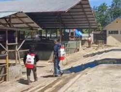 Pasar Ternak Batusangkar akan Dibuka Lagi Minggu ini