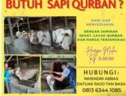 Inhendri Abbas; Mantan Pemuda Pelopor yang Sukses dengan Usaha Penggemukan Sapi