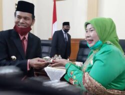 POLEGINS: Jika Ketua DPRD Pariaman Diganti, Perempuan Akan Trauma Jadi Caleg Partai Gerindra