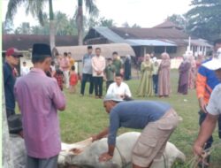 Polres Tanah Datar Bagikan Daging Kurban
