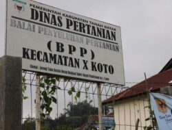 Balai Penyuluhan Pertanian (BPP) Kec. X Koto Bertabur Prestasi