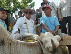 Asuransi Ternak di Kab. Tanah Datar Ditargetkan untuk 2000 Ekor Sapi/Kerbau, 1039 Ekor Sudah Diinput