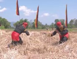 ‘Silek Baluluak Bajarami’ akan Meriahkan Festival Budaya di Nagari Kumango