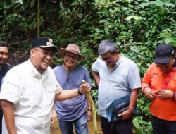 Wabup Richi Aprian Turun Langsung ke Lokasi Pembangunan Embung di Supayang