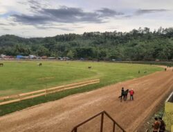 Alek Nagari Pacu Kuda Segera Digelar, Bupati Tinjau Gelanggang Bukit Gombak