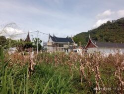 Pembangunan Gedung Pusat Informasi Pariwisata Tanah Datar Ikut Mangkrak