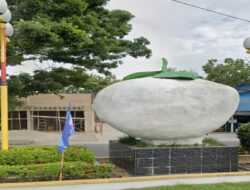 Tugu Bengkuang di Kota Padang; Nasibmu Kini?