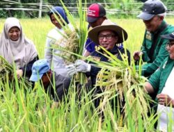 Alokasi Subsidi Pupuk untuk Tanah Datar Meningkat, Penyaluran Masih Ada Bermasalah