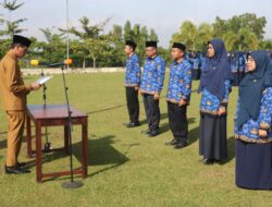 Bupati Safaruddin Serahkan 78 Petikan SK PPPK Serta Ambil Sumpah 462 ASN Jabatan Fungsional