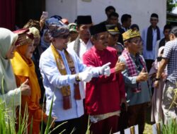 Satu Nagari Satu Even: Nagari Tabek Dinobatkan Sebagai Nagari Padi Salibu dan Makan Bajamba