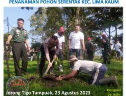 Forkopimca Lima Kaum Laksanakan Penanaman Pohon Serentak