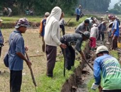 Gotong Royong Masih Menjadi Budaya Masyarakat Nagari Batipuah Baruah