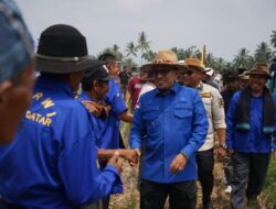 Bupati: Pacu Jawi Memiliki Rating yang Cukup Tinggi Menarik Minat Wisatawan