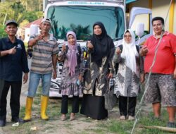 Daun Jeruk Purut dari Kecamatan Tanjung Emas Dipasarkan ke Pulau Jawa, Dinas Pertanian Turut Mendukung