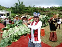 Festival Budaya ‘Singgahan Alang’ Dibuka Oleh Bupati Tanah Datar