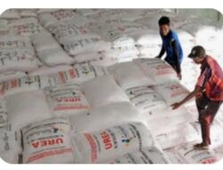 Analisis Kebijakan Peraturan Mentri Pertanian No 10 Tahun 2022: Realitas dan Harapan