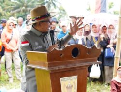 Alek Pacu Jawi di Sawah Tangah Ditutup Secara Resmi oleh Bupati Tanah Datar