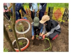 Inovasi Program Kerja Penanaman TOGA KKN Tematik Unand Banjir Apresiasi