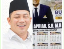 Quovadis Partai Nasdem Tanah Datar untuk Pilkada: Antara Riak dan Gelombang?