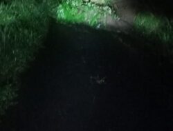 Akibat Curah Hujan Tinggi, Longsor Terjadi di Lurah Ampang Nagari Pasia Laweh, Sungai Tarab