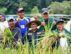 Ekonomi Tanah Datar Meningkat 4,44 Persen Selama Tahun 2023