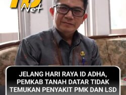 Jelang Pemotongan Hewan Qurban di Tanah Datar, Kabid Peternakan Pastikan Hewan Bebas dari PMK dan LSD