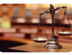 Bagaimana Peran Sosiologi Hukum dalam Membangun Keadilan Sosial di Masyarakat?