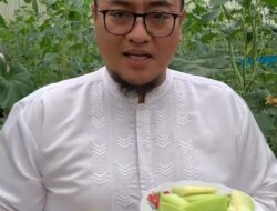 Wabup Richi Aprian Puji Kesuksesan SMK 2 Batusangkar Kembangkan Aneka Melon Melalui Hidroponik
