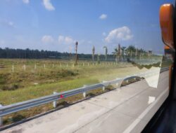 Kasus Tanah Kebun Sawit Dibongkar Presiden Pabowo Subianto