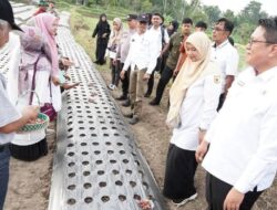 Wabup Ahmad Fadly Dukung Nagari Cubadak Menjadi Sentra Bawang Merah