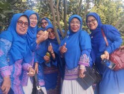 Jeruk Siam Madu Cocok Dikembangkan di Nagari Andaleh, Setengah Hektar Dapat Mengahasilkan Sekitar 20 Ton