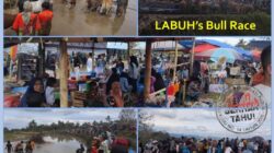 Penutupan Alek Nagari Pacu Jawi di Labuah Berjalan Sukses