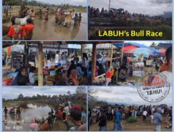 Penutupan Alek Nagari Pacu Jawi di Labuah Berjalan Sukses