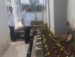 Dinas Perpustakaan dan Kearsipan Tanah Datar Giatkan Program Ketahanan Pangan, Tanam Sayur dan Buah Buahan di Sekitar Kantor