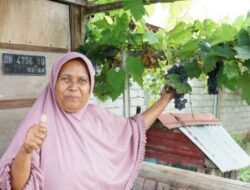 Bukan Hanya bagi Petani, Kampung Reforma Agraria Desa Duyu Juga Bantu Ekonomi Warga Sekitar