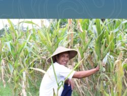 Reforma Agraria Lahirkan Regenerasi dan Kreativitas Petani Muda di Desa Soso