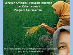 Serangan Hama Terkendali Hasil Gerak Cepat Tim BPP Cubadak, Disayangkan Program Asuransi Tani 2026 Terkesan Lamban