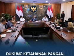 Dukung Ketahanan Pangan, Pemerintah Akan Tetapkan Lahan Sawah yang Dilindungi di 12 Provinsi