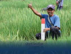 Mudik ke Kampung Halaman? Jaga Batas Tanah sebagai Langkah Awal Cegah Konflik Antar Tetangga
