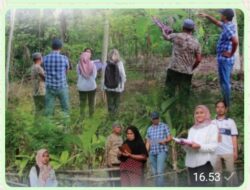 Kantor BPN Tanah Datar Lakukan Peninjauan Lapangan di Nagari Taluak, Lintau Buo